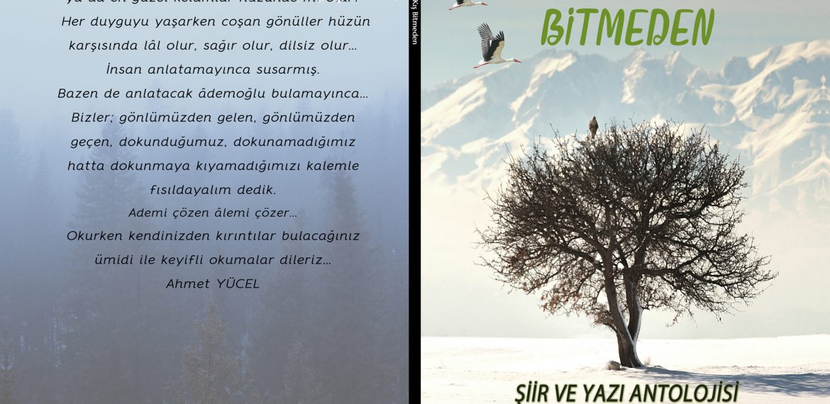 Murat Aksoy – Kış Bitmeden