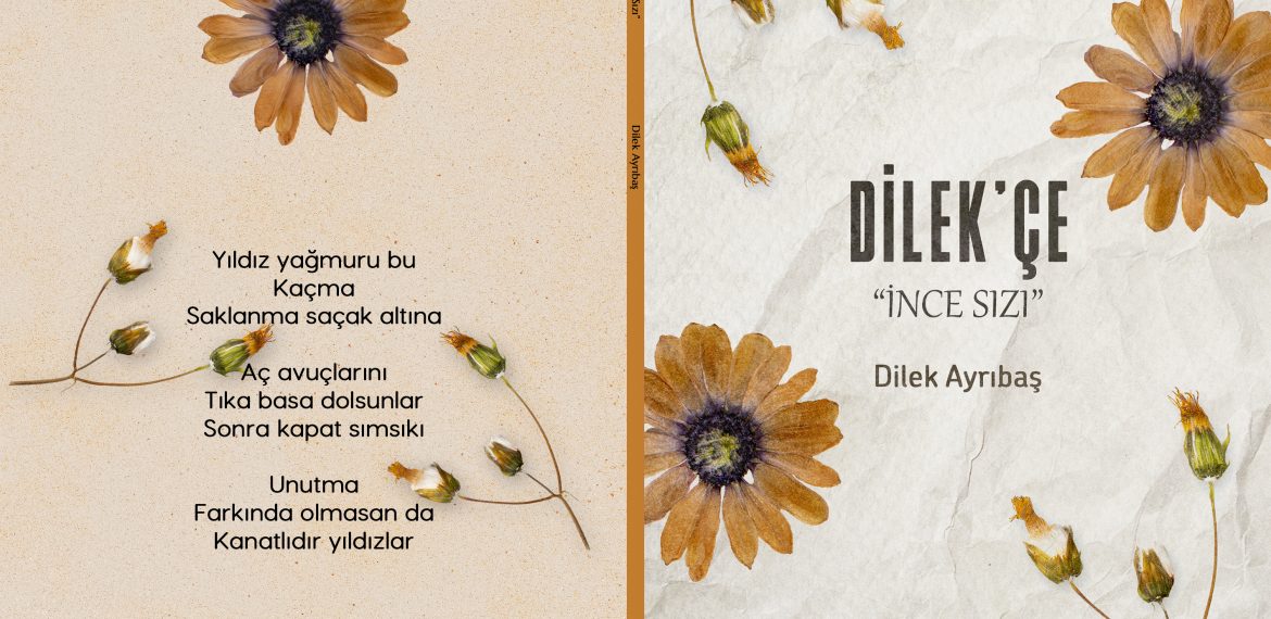 Dilek Ayrıbaş – Dilek’çe “İnce Sızı”