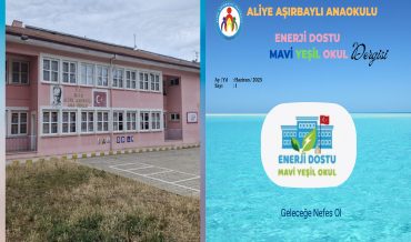 Evren Şanlı – Aliye Aşırbaylı Anaokulu Dergisi