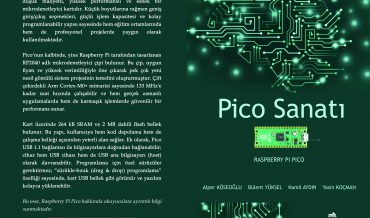 PARS (Pardus Robot Squad) – Pico Sanatı